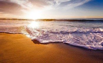 Working Travel Group