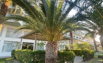 Grünstadter Reise- und Verkehrsbüro