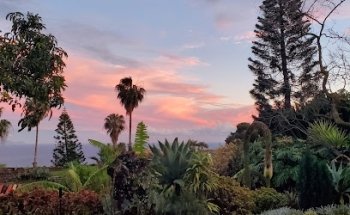 Gerolsteiner Reisebüro, Inhaberin Sabine Busch