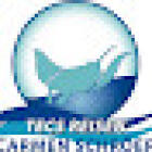 Delphin Tours