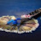 MERAND PATRICIA Agent France LA PALANCHE VOYAGES HANOI VIETNAM