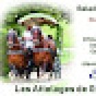 Les Attelages De Grignan. Balades en calèche.