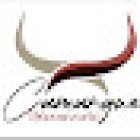 Camargue découverte safari photo 4x4, en vélo électrique, en calèche, visite de manade