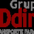 Ddim SRL