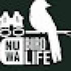 Birdwatching Nuwabirdlife