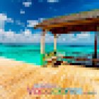 Tus Próximas Vacaciones | Organización Aviatur