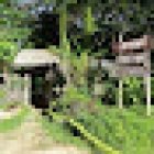 Omshanty Jungle Lodge