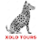 Tour a Teotihuacan desde CDMX