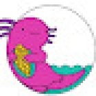 Ruta del Ajolote / Servicios Turísticos en Xochimilco