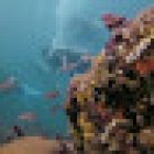 Escuela de Buceo Océano Profundo - Alberca Cuicuilco