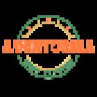 Aventurina Renta de Motos Puerto Escondido // Aventurina Scooter Rental Puerto Escondido