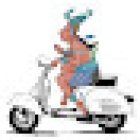 Ko'ox Balak Valladolid - Rent a Car, Scooters, Motorcycles & Bicycles