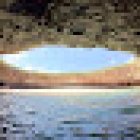 Shark's tour punta mita