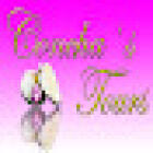 Concha´s Tours, Cordoba