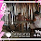 Savana Travel Agency