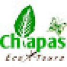 Tours por Chiapas
