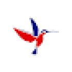 Despachatur Vistos Consulares