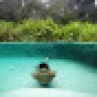 Cerrado Dourado Expedições