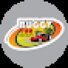 Buggy Tur
