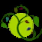 Emerências Turismo - Passeios em Cabo Frio; Passeios em Búzios; Passeios para o Rio com saída de Cabo Frio.