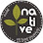 Agência Clube Native