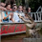 Cajun Encounters Tour Company