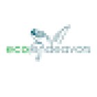 Eco Endeavors & Breakwater Adventures