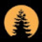 Broken Bow Cabin Lodging