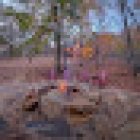 Mountain Top Cabin Rentals