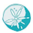 Southern Coast Vacation Rentals