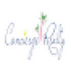 Concierge Realty Inc