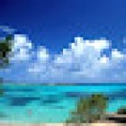 Tickets Confirmed - Travel Agency