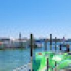 HydroJet Dolphin Cruise