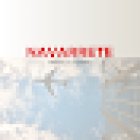 Navarrete Travel & Tours Inc