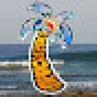 CR Surf Travel Company