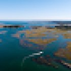 Essex River Cruises & Charters