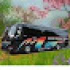 David Tours and Travel