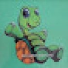 Shellebrate Boat Tours LLC