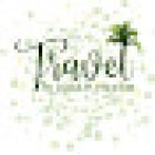 Plans in Paradise LLC