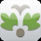 The Conger Collection: Vacation Rental Homes, Charter Yacht and Motorcoach Rental