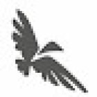 Altura Travel and Tourism