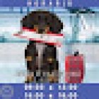 AGENCIA DE VIAJES GUAYMAS