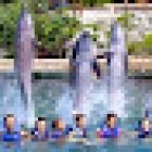 Diversidad. Turismo Activo y de Naturaleza