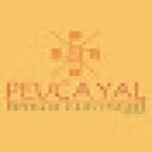 PeucaYal Empresa de Viajes y Turismo