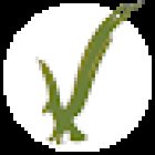 Selvaventura AMAZON Rainforest Tours -Leticia