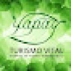 YAPAY AGENCIA DE VIAJES