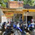 Birdwatching Minca Birding & Moto Rental Minca