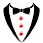 Visita Alhambra Guiada | Granada Tours | Guía Pajarita