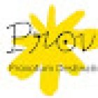 Provotum Destination Management S.L