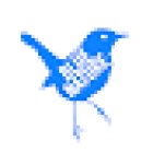 Blue Nature Birding and Nature Tours SL